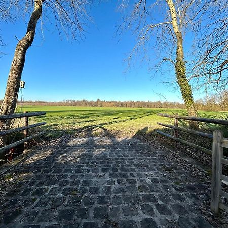 Le Domaine De Brie Lejlighed Chatillon-la-Borde Eksteriør billede