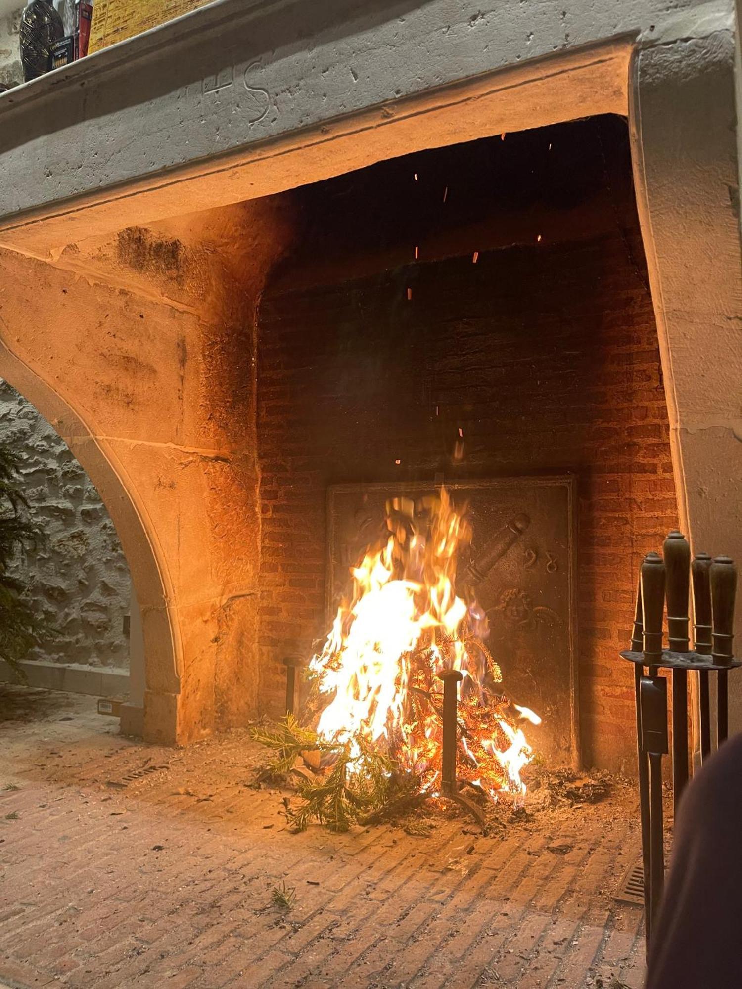 Le Domaine De Brie Lejlighed Chatillon-la-Borde Eksteriør billede