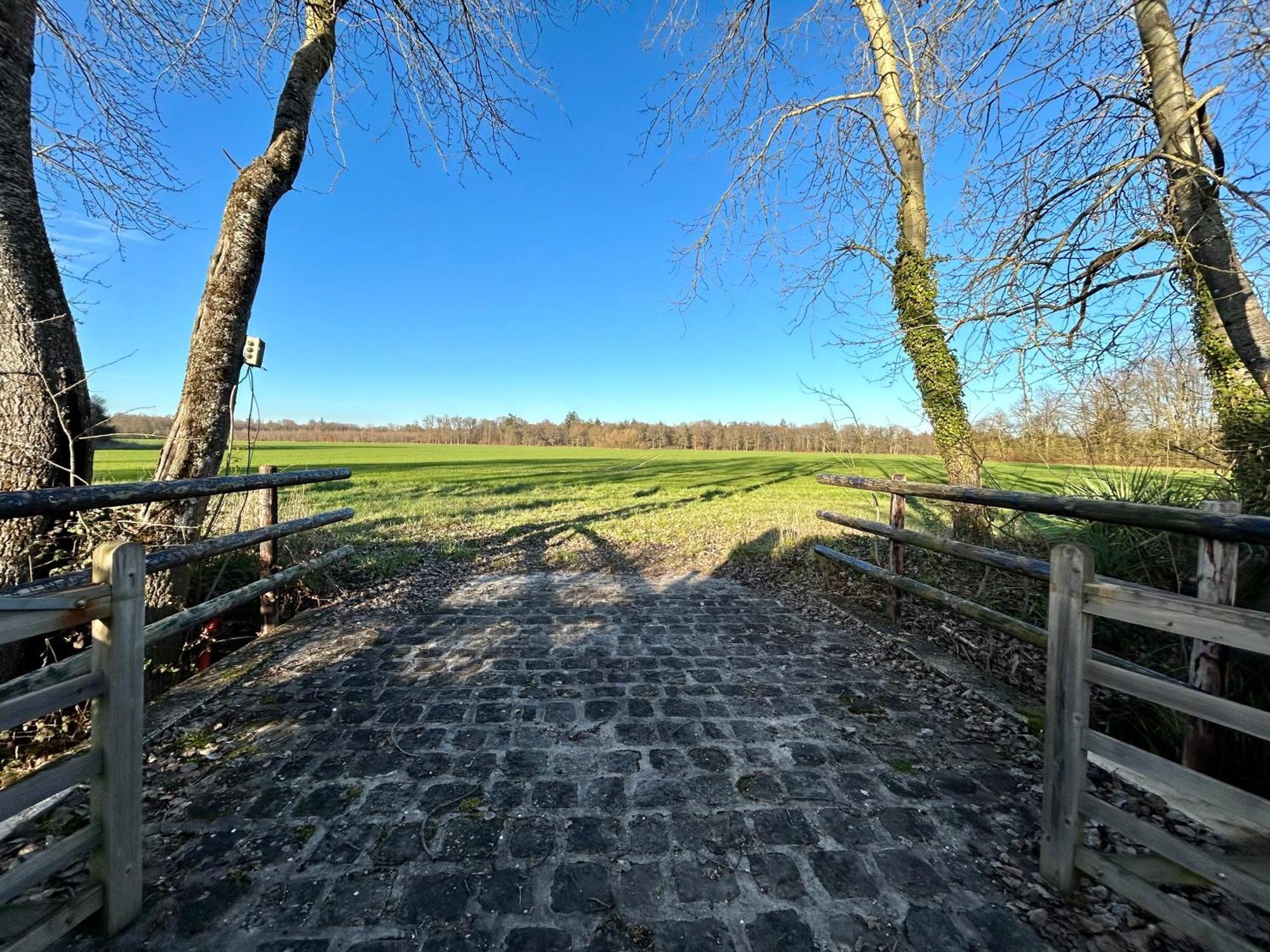 Le Domaine De Brie Lejlighed Chatillon-la-Borde Eksteriør billede
